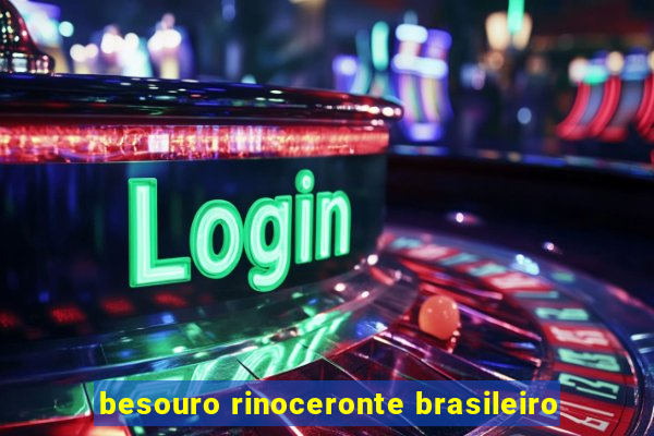 besouro rinoceronte brasileiro